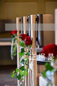 证据是诉讼的灵魂什么意思 证据是诉讼的灵魂什么意思