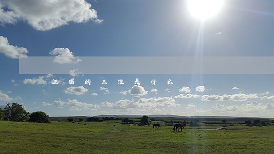 证据的三性是什么 证据的三性是什么