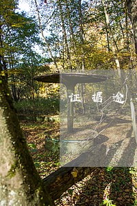 证据逾期罚款5万 证据逾期罚款5万