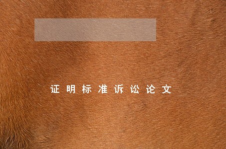 证明标准诉讼论文 证明标准诉讼论文