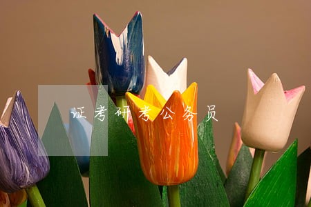证考研考公务员