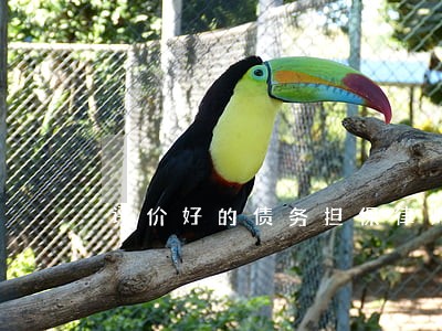 评价好的债务担保律师费用多少 评价好的债务担保律师费用多少