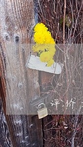 评价好的公司风险防范律师排行 评价好的公司风险防范律师排行