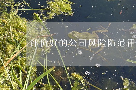 评价好的公司风险防范律师费用 评价好的公司风险防范律师费用