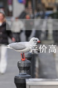 评价高的网贷纠纷律师微信咨询