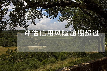 评估信用风险逾期超过