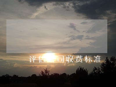 评估公司收费标准 评估公司收费标准
