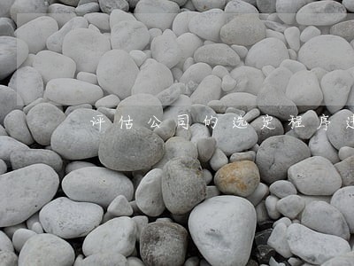 评估公司的选定程序违法 评估公司的选定程序违法