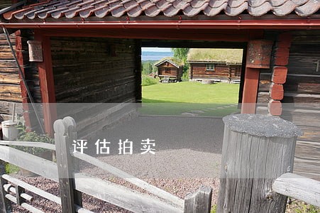 评估拍卖 评估拍卖