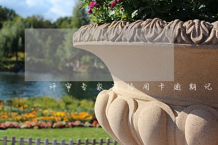 评审专家有信用卡逾期记录