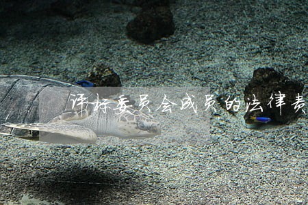 评标委员会成员的法律责任有哪些 评标委员会成员的法律责任有哪些