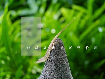 诈骗案刑事律师费用 诈骗案刑事律师费用
