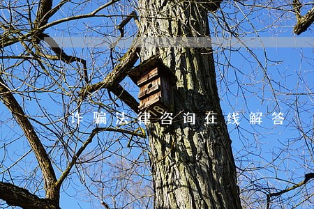 诈骗法律咨询在线解答 诈骗法律咨询在线解答