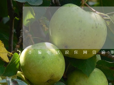 诈骗电话说你网贷逾期 诈骗电话说你网贷逾期