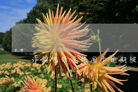 诈骗电话说信用卡逾期被冻结 诈骗电话说信用卡逾期被冻结