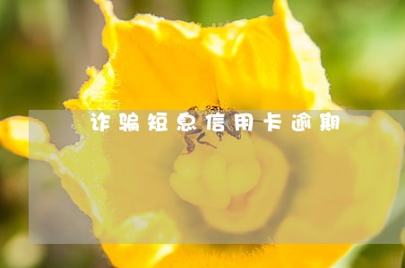 诈骗短息信用卡逾期 诈骗短息信用卡逾期