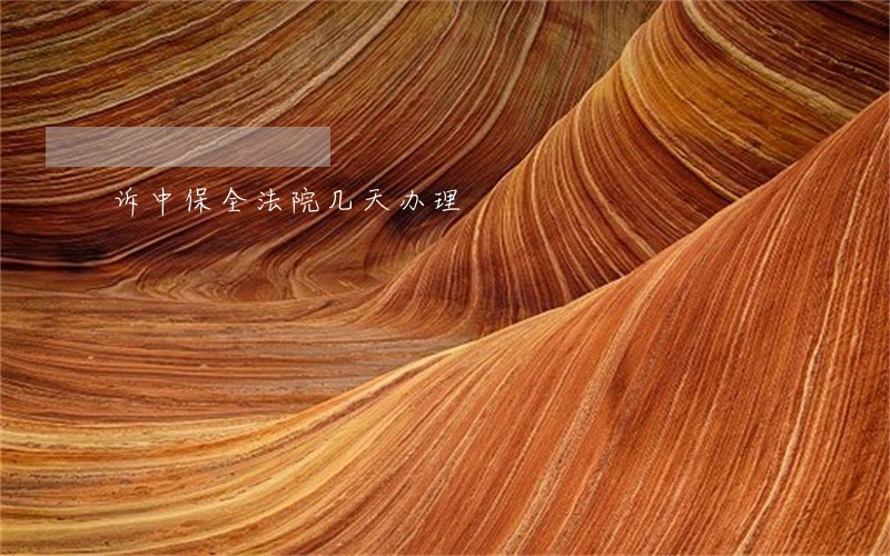 诉中保全法院几天办理
