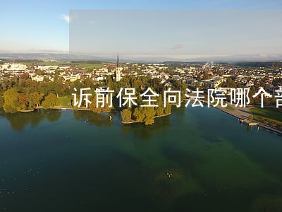 诉前保全向法院哪个部门提出 诉前保全向法院哪个部门提出
