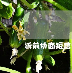 诉前协商短信只还本金是真的吗 诉前协商短信只还本金是真的吗