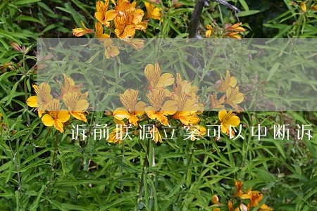 诉前联调立案可以中断诉讼时效 诉前联调立案可以中断诉讼时效
