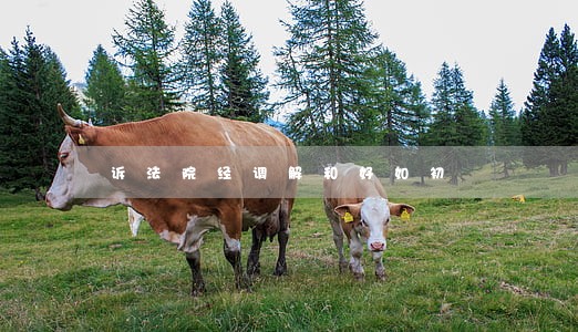诉法院经调解和好如初