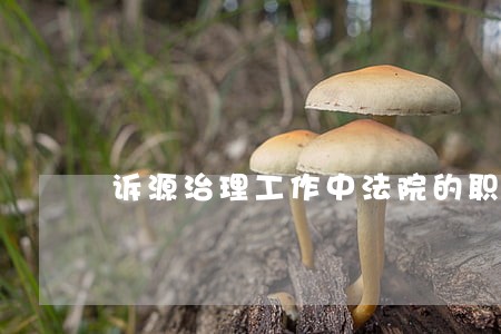 诉源治理工作中法院的职责