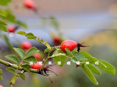 诉状书法院提供吗 诉状书法院提供吗