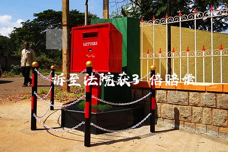 诉至法院获3倍赔偿 诉至法院获3倍赔偿