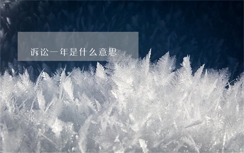 诉讼一年是什么意思 诉讼一年是什么意思