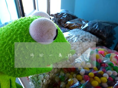 诉讼一离婚程序 诉讼一离婚程序