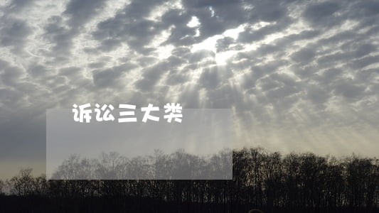 诉讼三大类 诉讼三大类