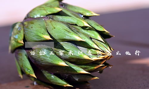 诉讼三家承担责任怎么执行 诉讼三家承担责任怎么执行