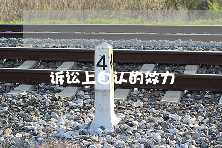 诉讼上自认的效力