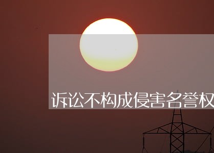 诉讼不构成侵害名誉权