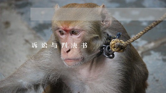诉讼与判决书 诉讼与判决书