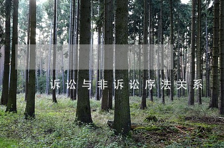 诉讼与非诉讼序法关系