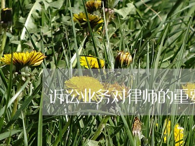 诉讼业务对律师的重要性 诉讼业务对律师的重要性