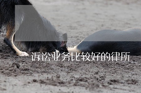 诉讼业务比较好的律所 诉讼业务比较好的律所