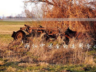 诉讼中保全的适用条件 诉讼中保全的适用条件