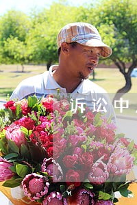 诉讼中反诉本诉当事人需相同