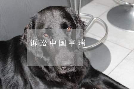 诉讼中国亨瑞 诉讼中国亨瑞