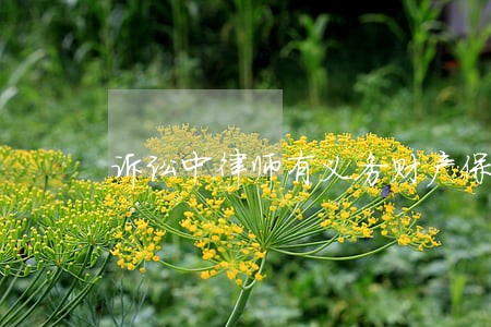 诉讼中律师有义务财产保全吗 诉讼中律师有义务财产保全吗