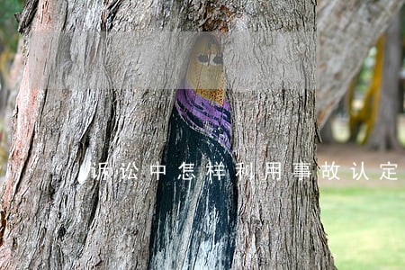 诉讼中怎样利用事故认定书 诉讼中怎样利用事故认定书