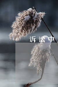 诉讼中止相关信息 诉讼中止相关信息