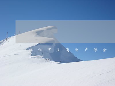 诉讼中没有财产保全