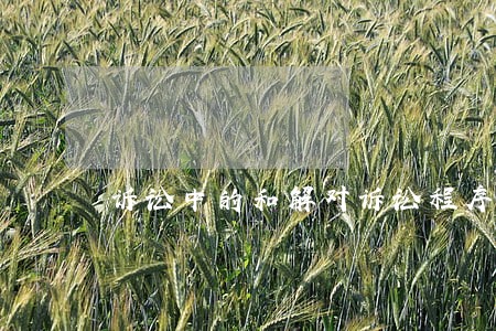 诉讼中的和解对诉讼程序的作用 诉讼中的和解对诉讼程序的作用