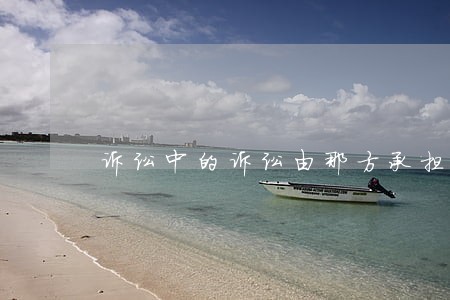 诉讼中的诉讼由那方承担 诉讼中的诉讼由那方承担