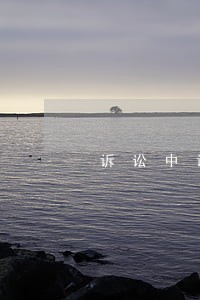 诉讼中诉讼主体变更分析 诉讼中诉讼主体变更分析