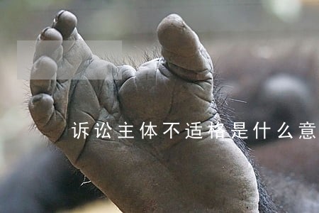 诉讼主体不适格是什么意思 诉讼主体不适格是什么意思