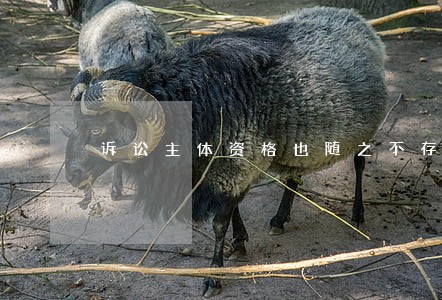 诉讼主体资格也随之不存在 诉讼主体资格也随之不存在